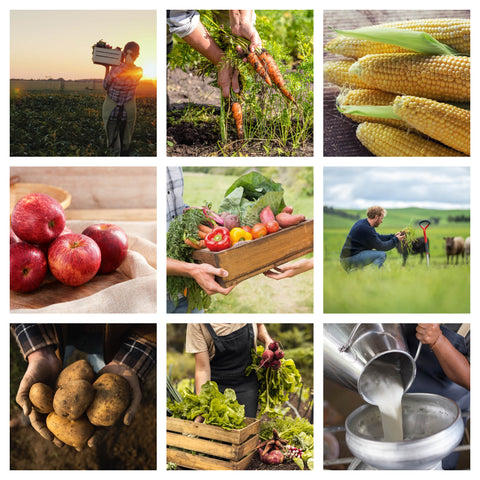 organic-awareness-month