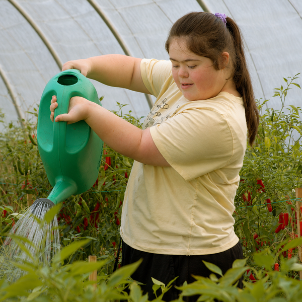 Warrah Farm: Growing Food, Opportunity and Community