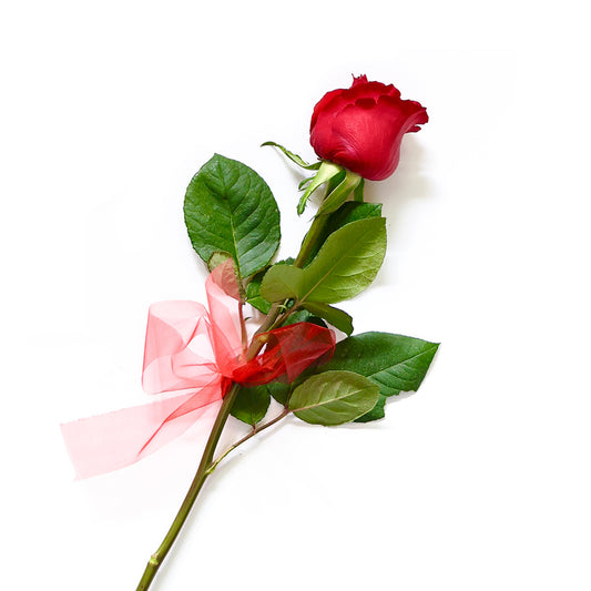 Rose Red Single Stem