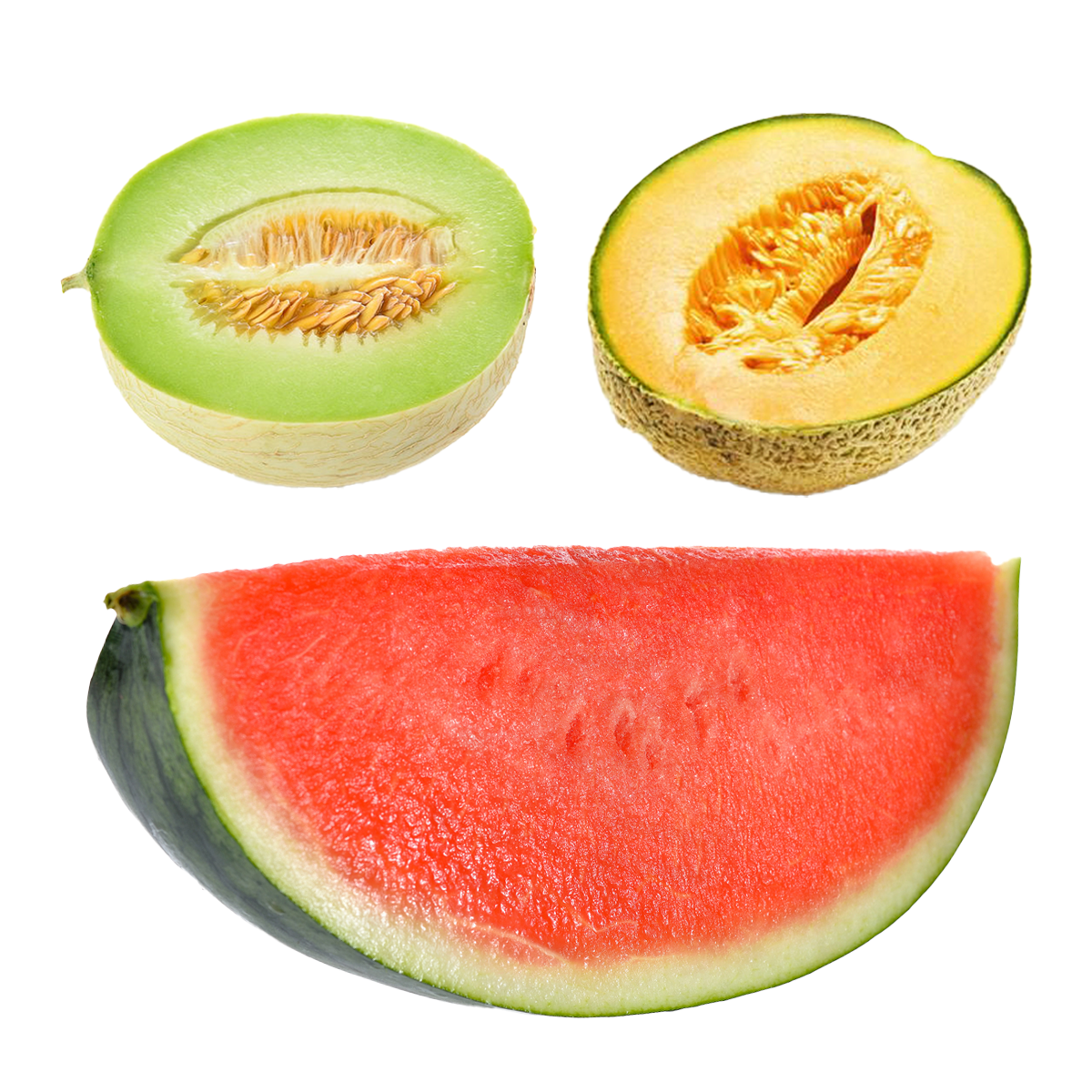 Summer Melon Cut Bundle