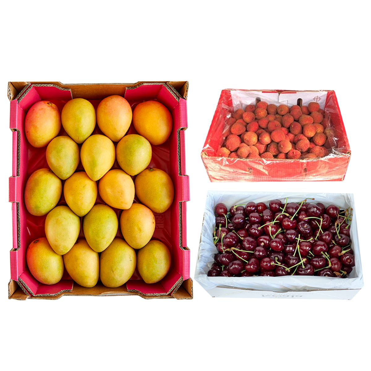 Summer Fruit Tray Sale Bundle