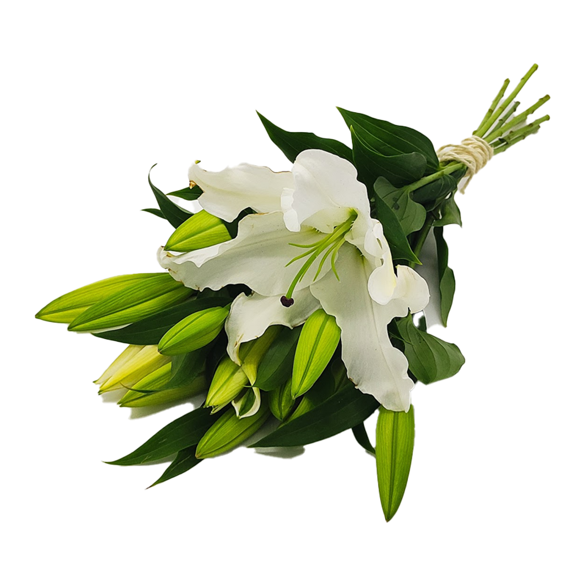 Flowers Oriental Lilies White 5 Stem