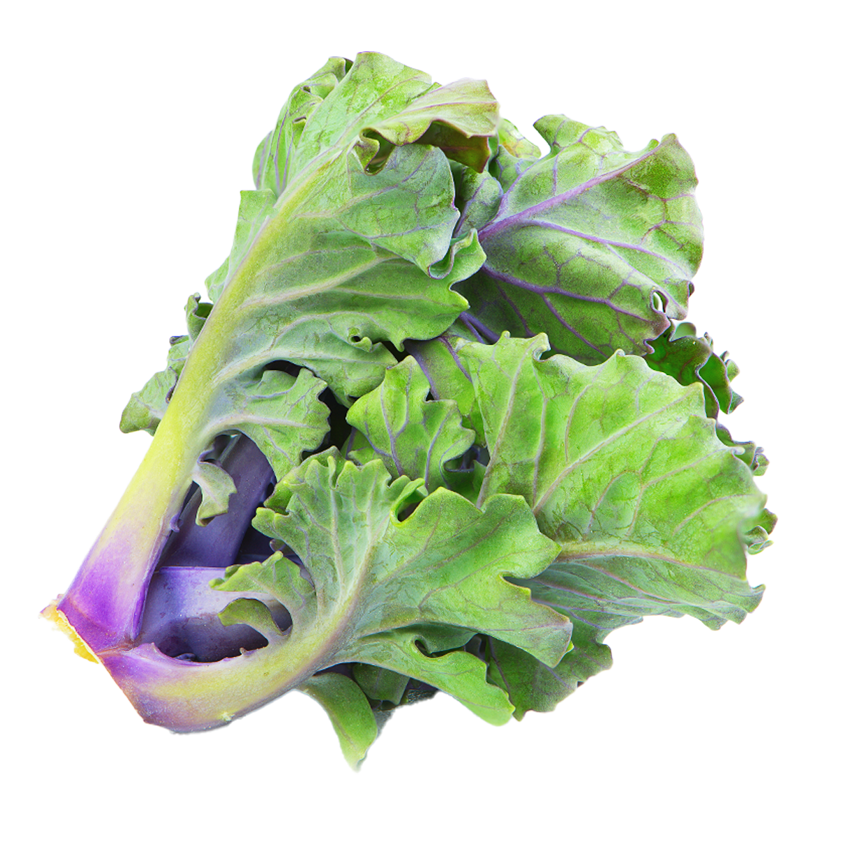 Kalettes 400g
