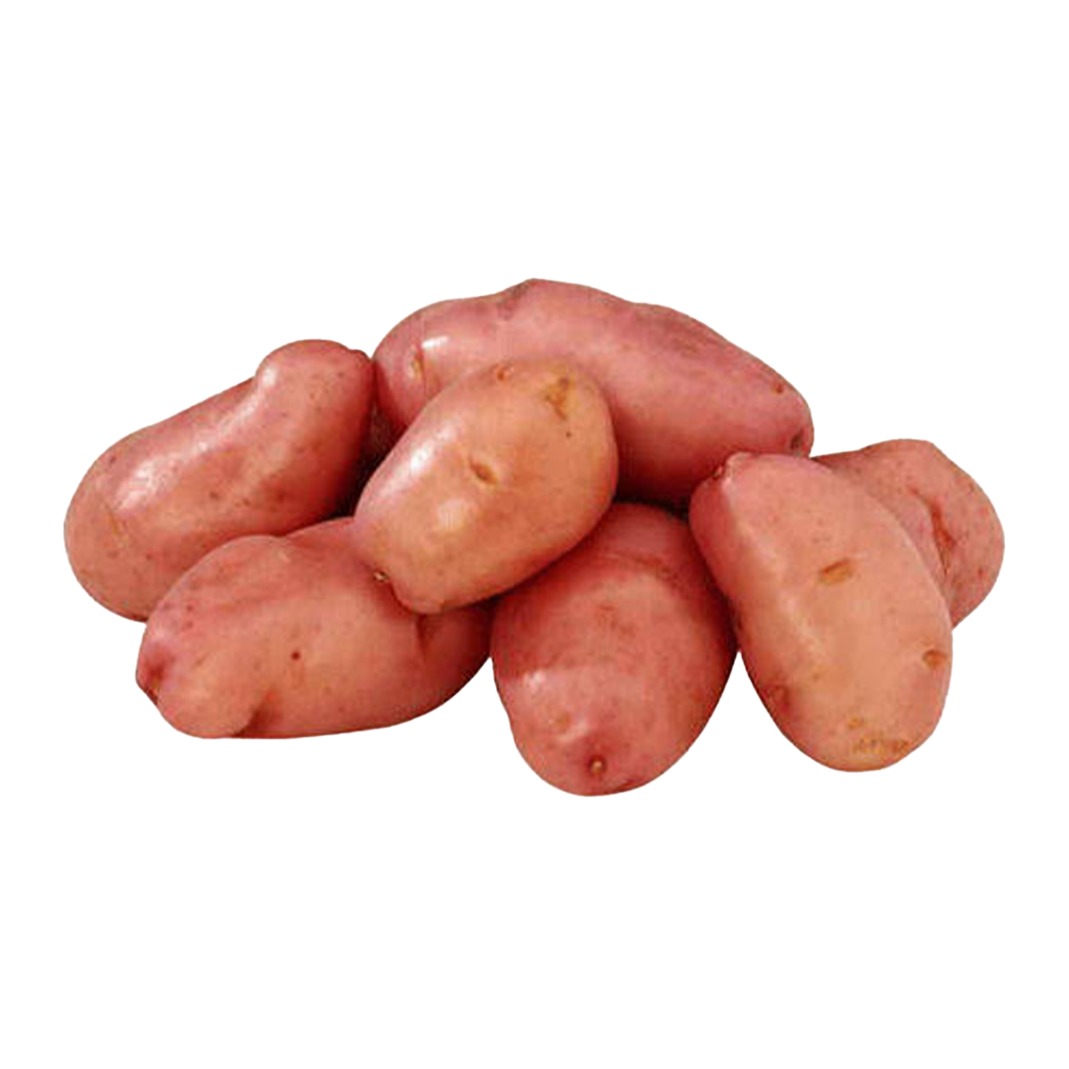 Potatoes Red Washed 5kg