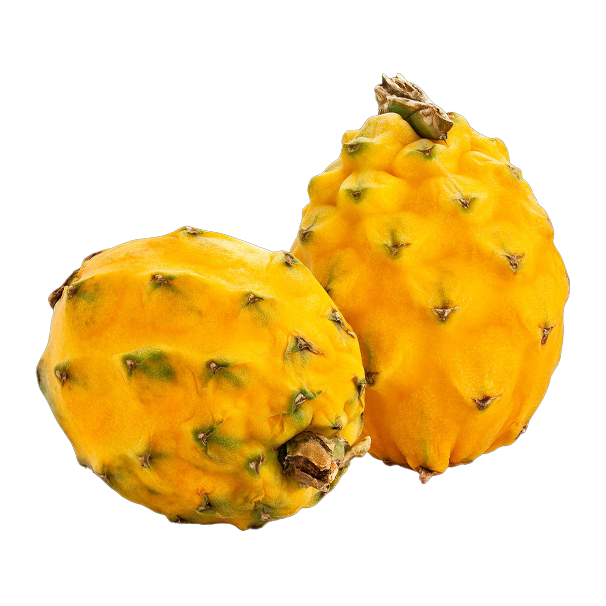 Dragon Fruit Yellow Each