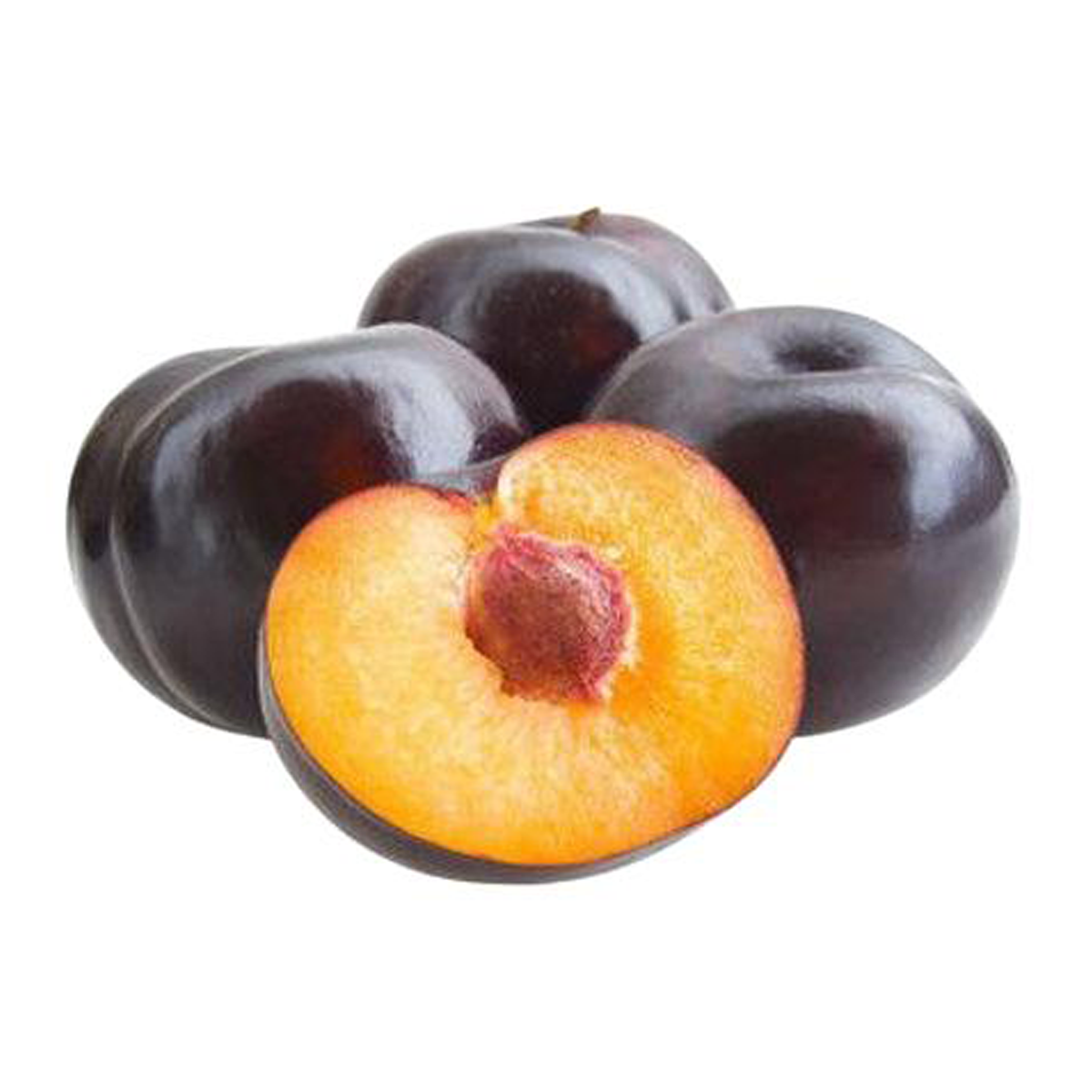 Angelino Plum