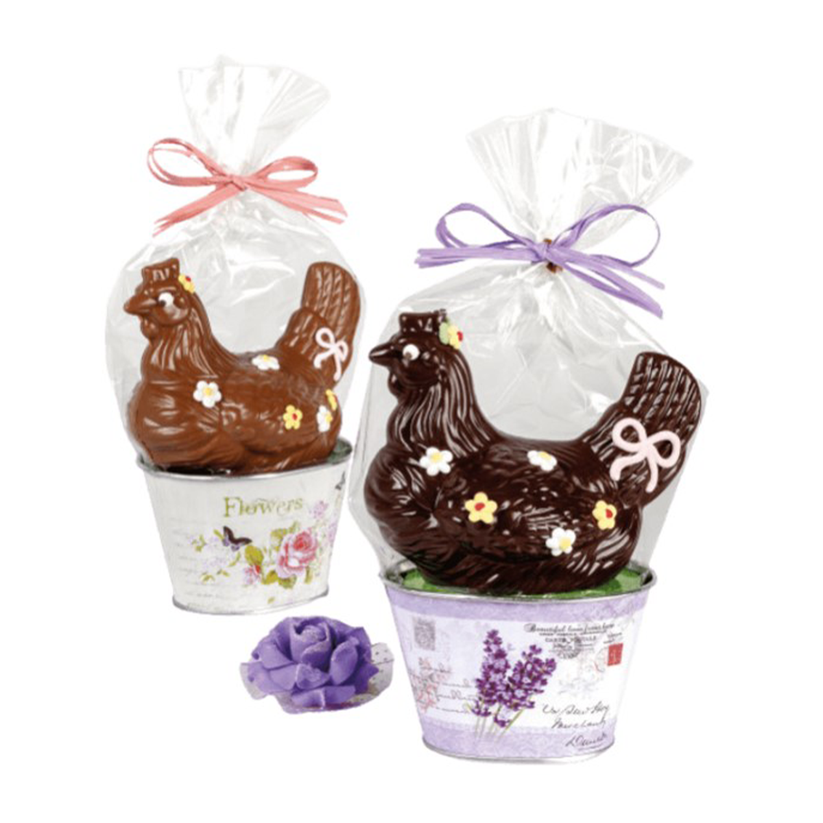 Dolcerie Chocolate Hen Tin 80g