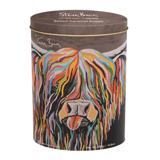 Steven Brown Salted Caramel Fudge Oval Tin 250g