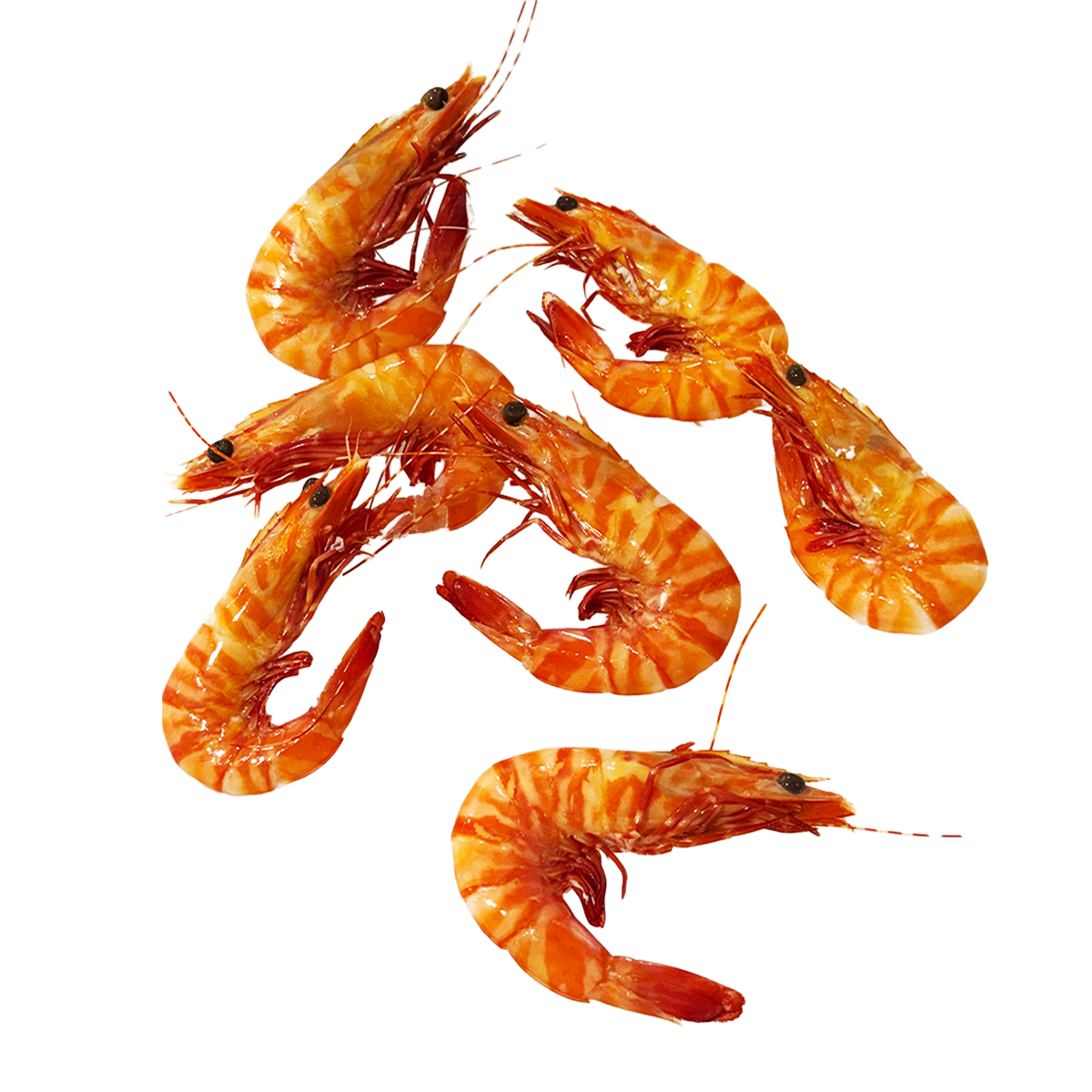 Fish in the Family Wild Caught Cooked Ocean Tiger Prawns Min. 500g