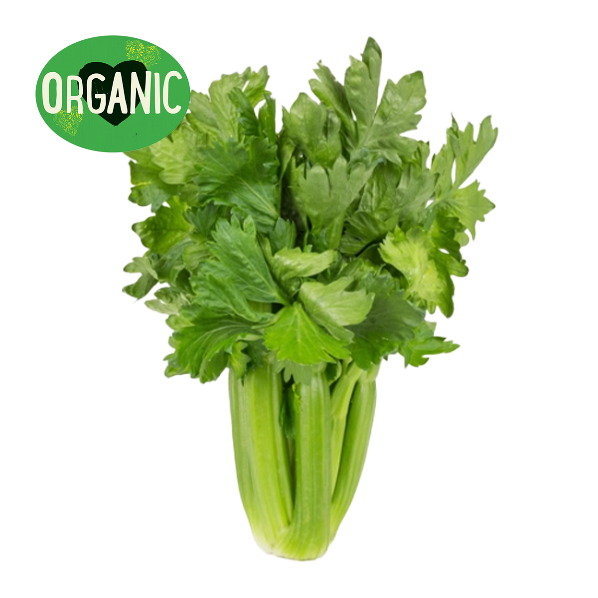 Organic Mini Celery