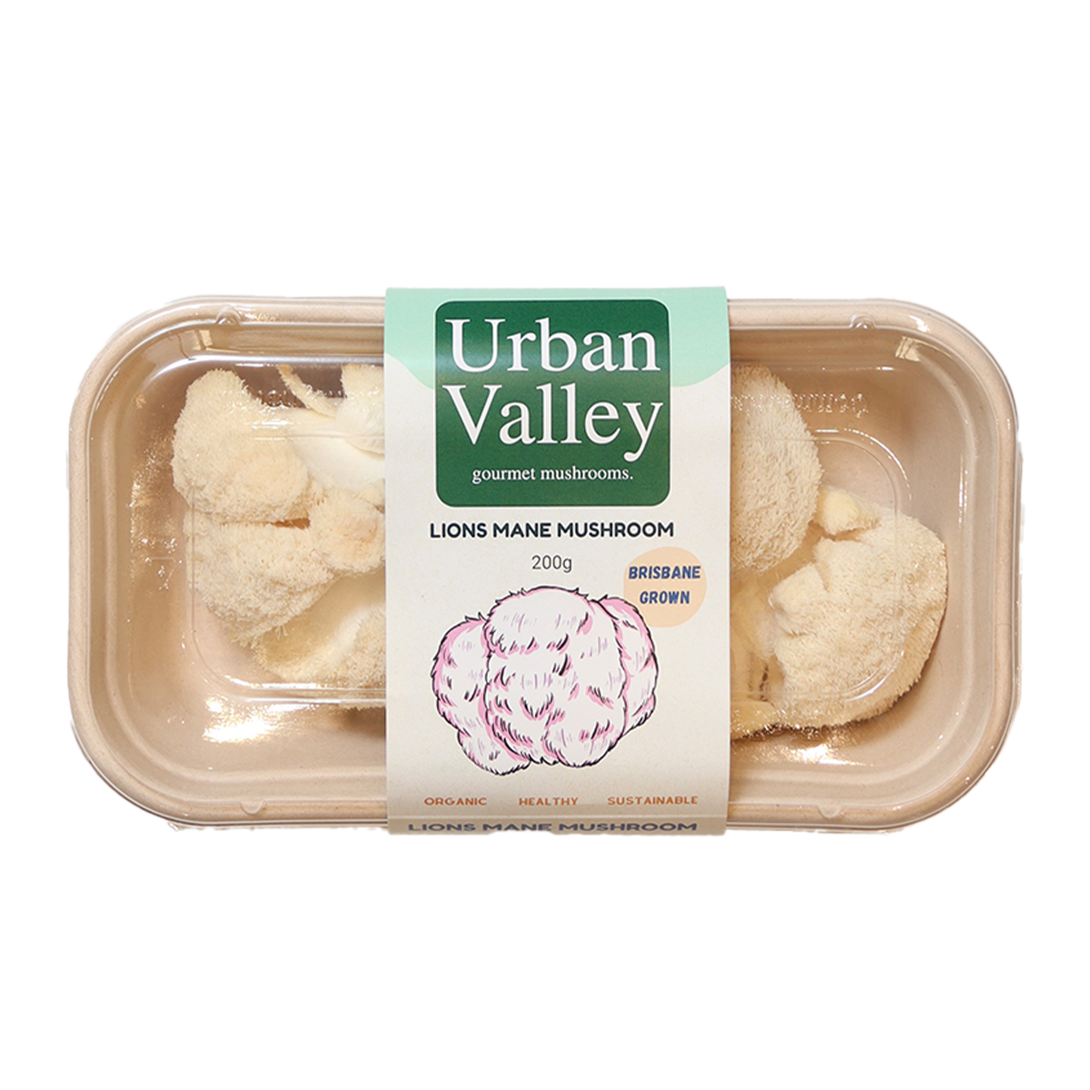 Urban Valley Lions Mane Mushroom 200g