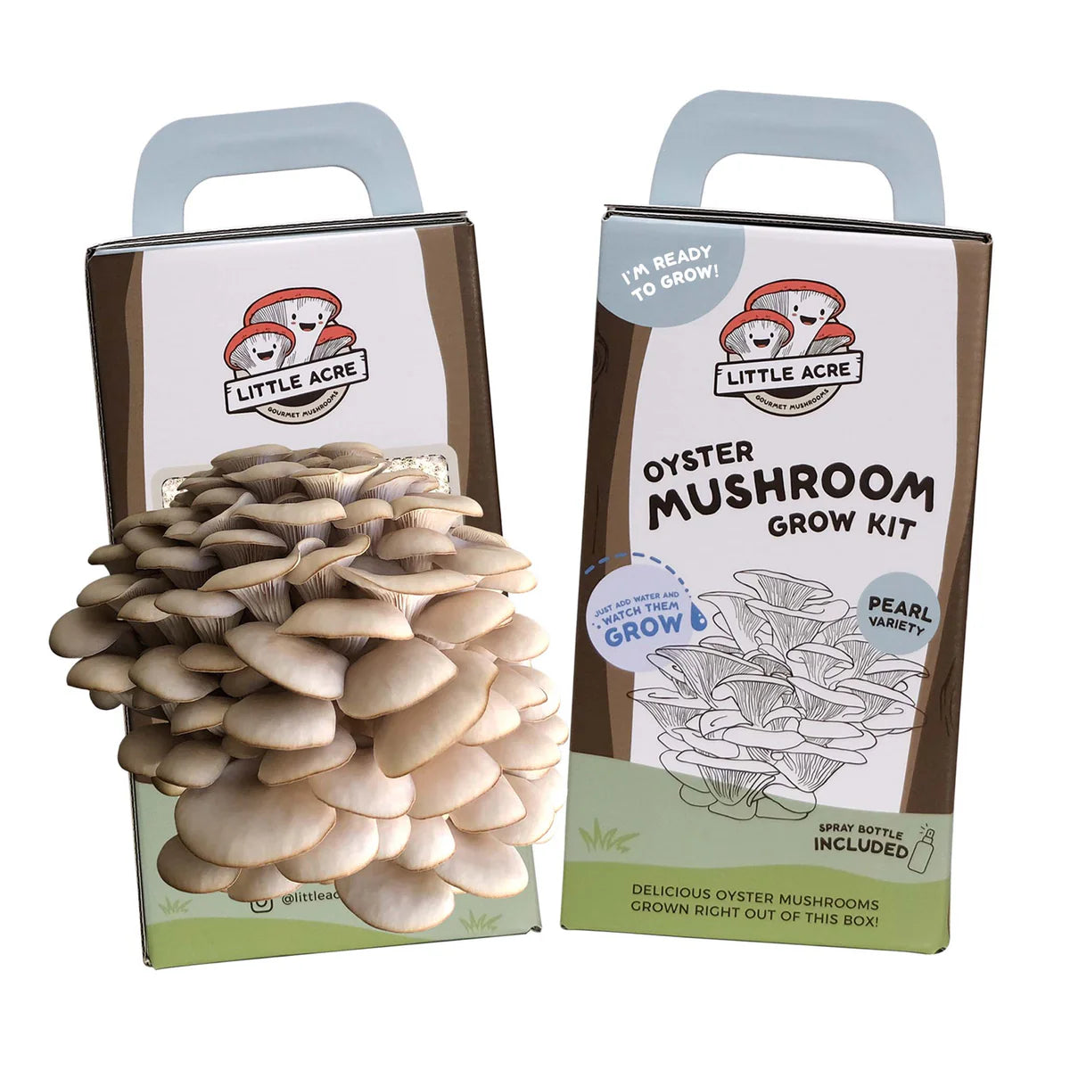 Little Acre Oyster Mushroom Grow Kit