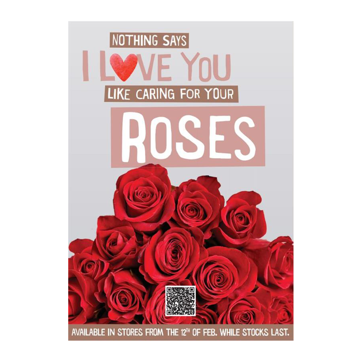 Flowers Red Rose Premium 60cm