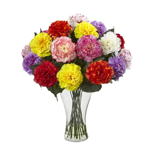 Flowers Carnation Mixed Colour