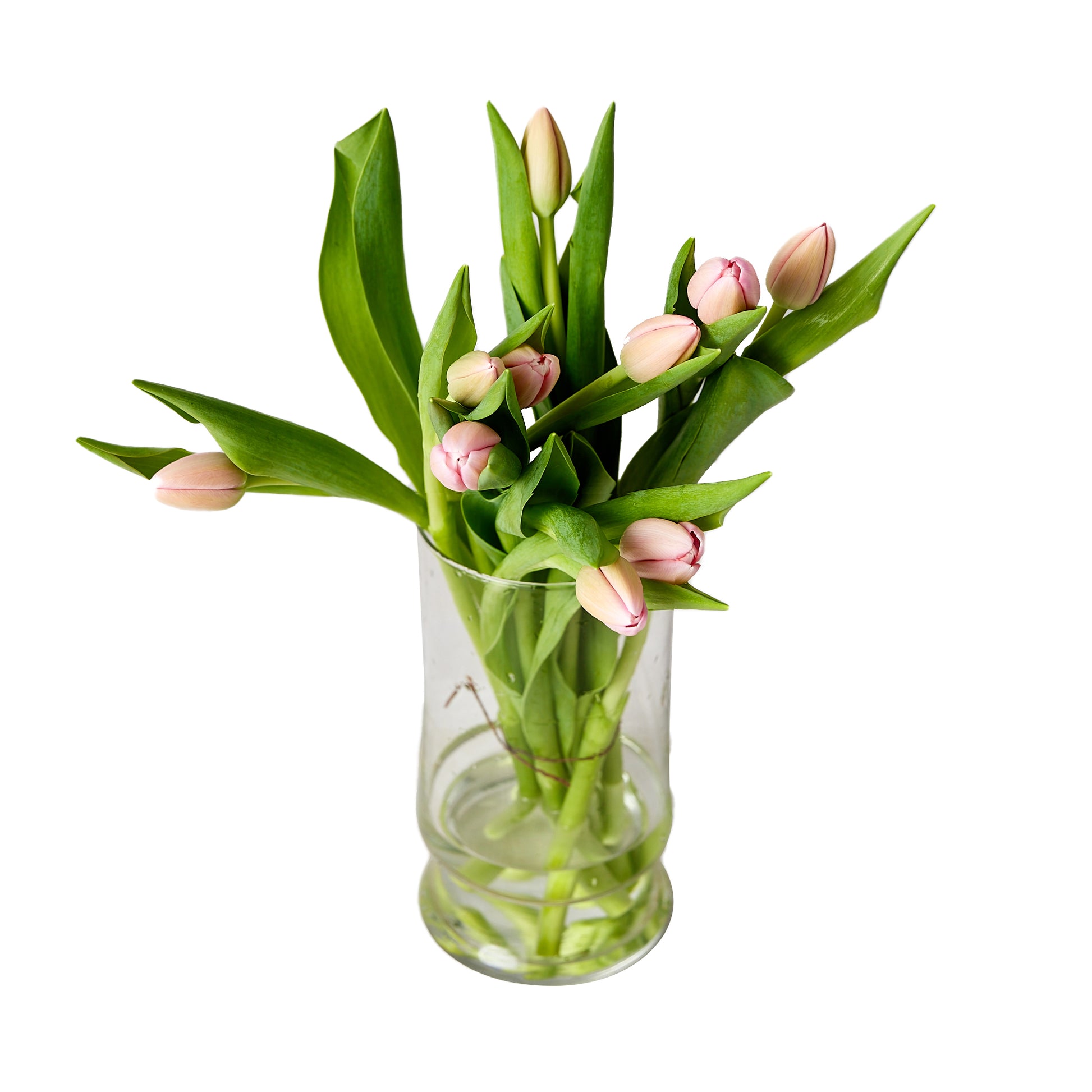 Flowers Tulips Pink 10 Stem Bunch | Harris Farm Online