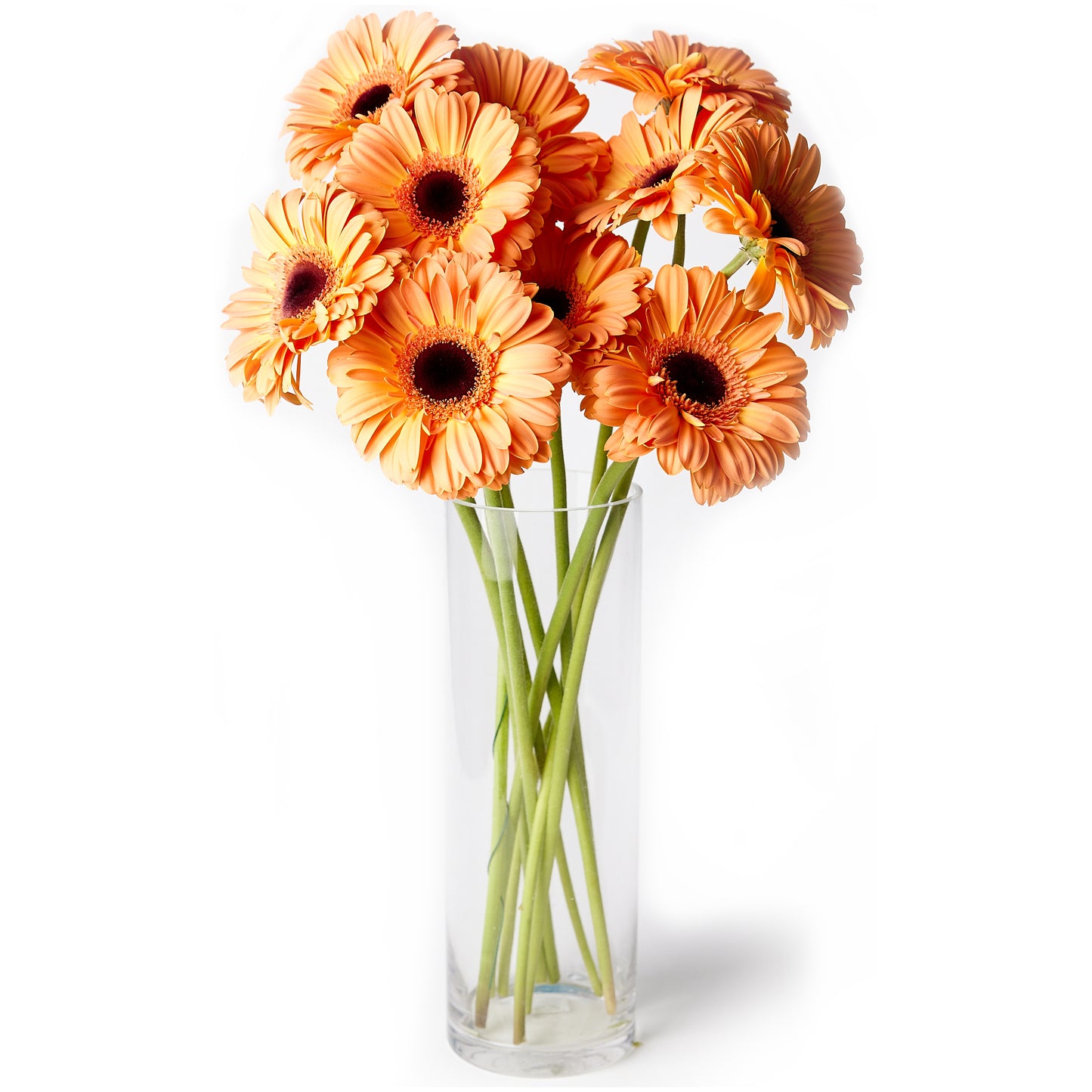 Flowers Gerberas Orange | Harris Farm Online