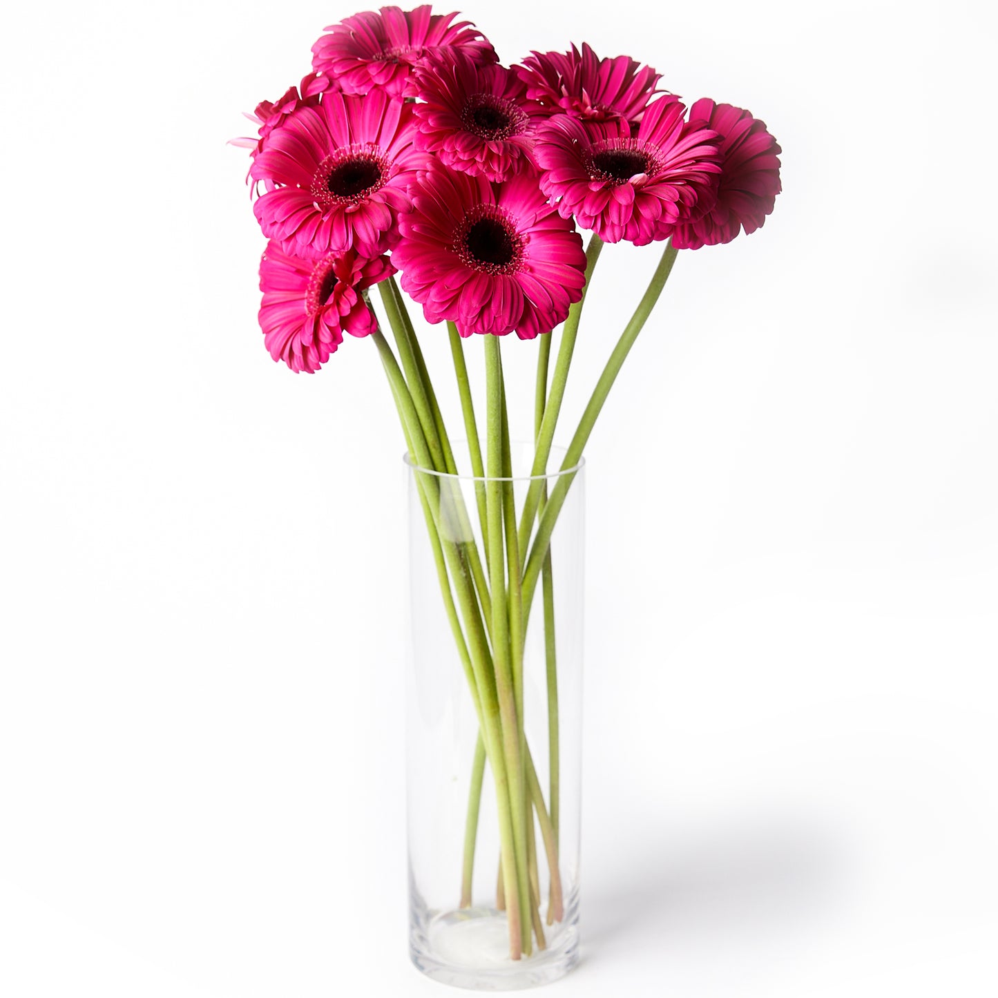 Flowers Gerberas Hot Pink | Harris Farm Online
