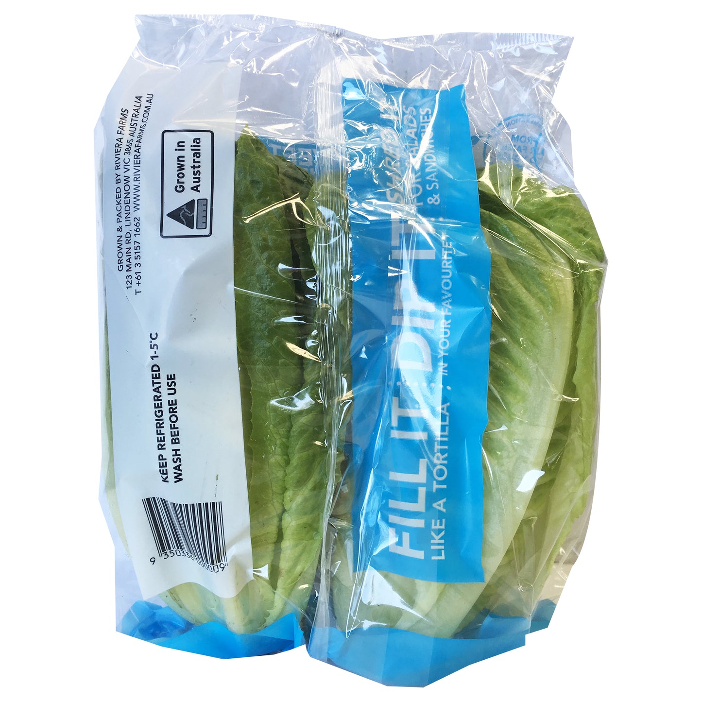 Lettuce Baby Cos Twin Pack | Harris Farm Markets Online