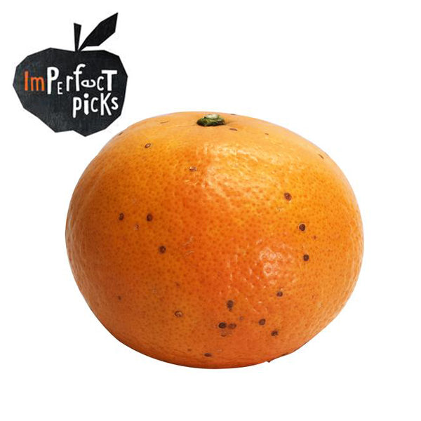 Imperfect Mandarins Murcott | Harris Farm Online