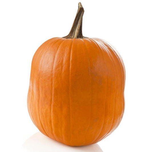 Pumpkin Halloween | Harris Farm Online