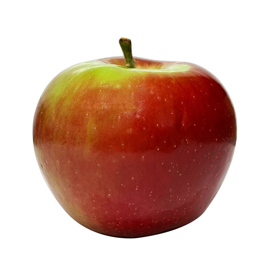 Apple Jonathan Large Each