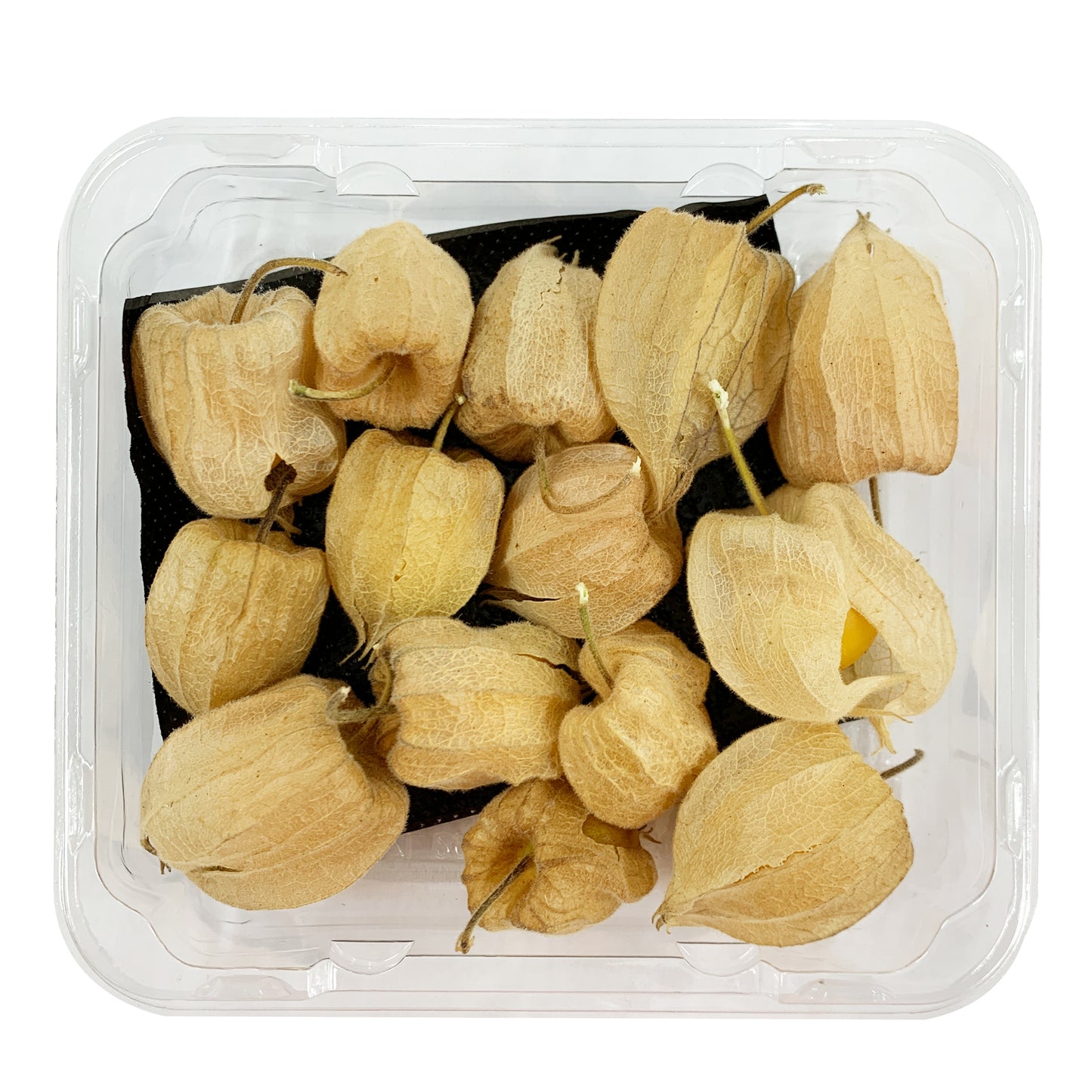 Cape Gooseberries | Harris Farm Online