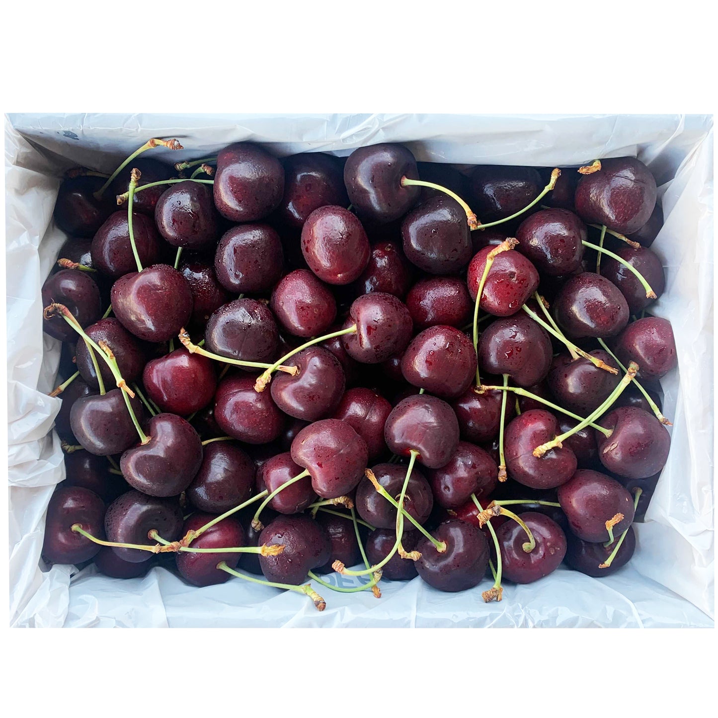 Black Devil Tasmanian Cherries Box 2kg | Harris Farm Online