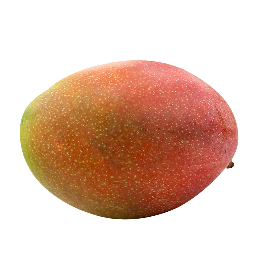 Mango Pearl Each | Harris Farm Online