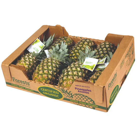 Pineapple Large Box x10 Each