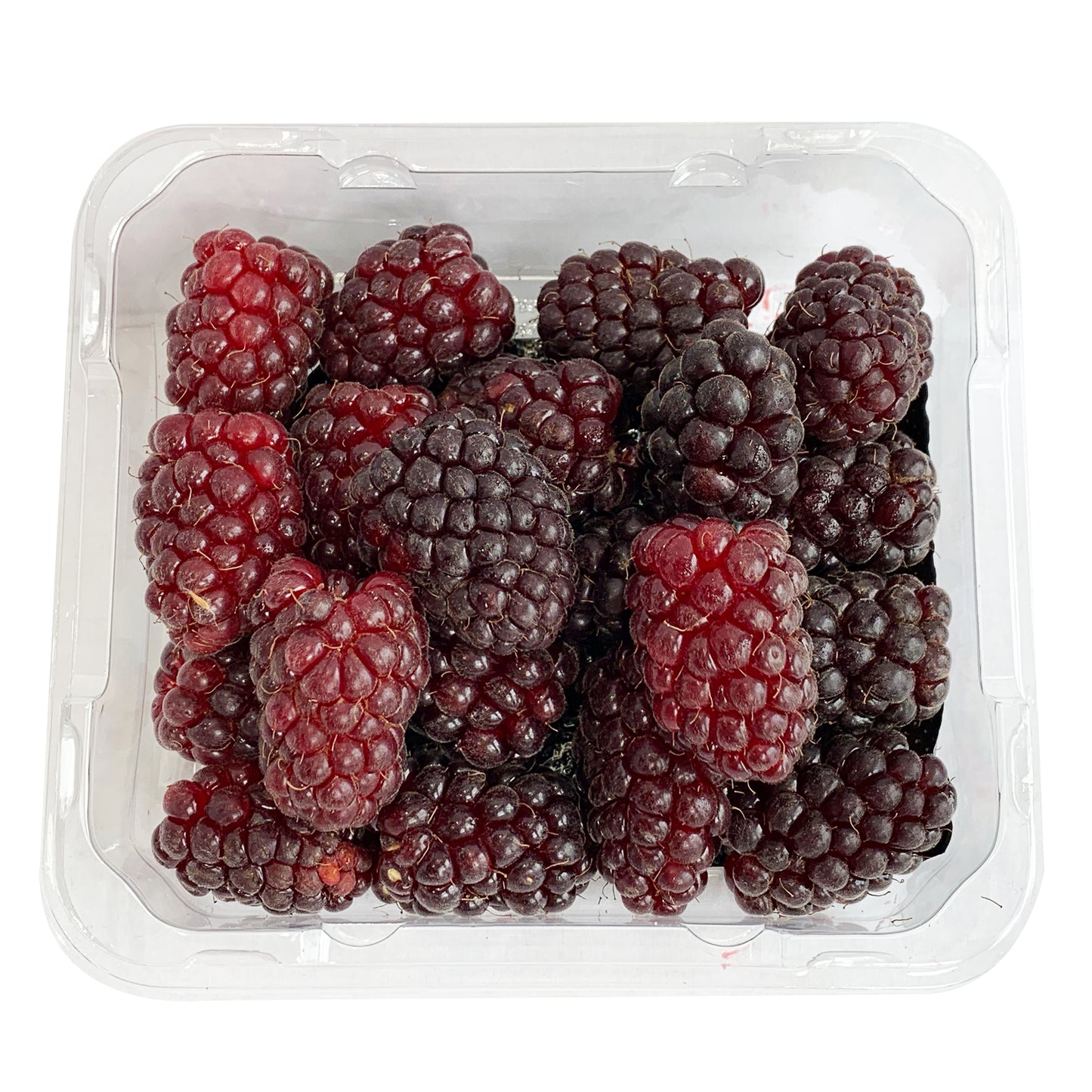 Blackberries Special Pick 125g