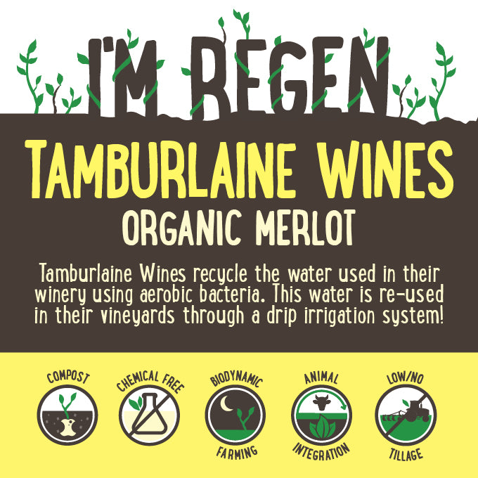 Tamburlaine Organic Merlot Case | Harris Farm Online