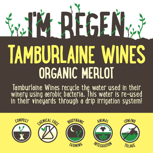 Tamburlaine Organic Merlot  | Harris Farm Online
