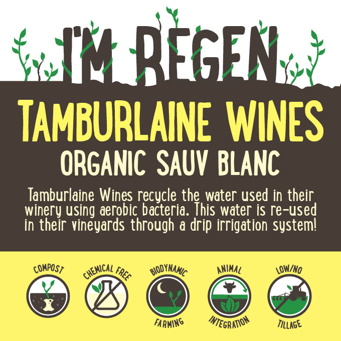Tamburlaine Organic Sauvignon Blanc | Harris Farm Online