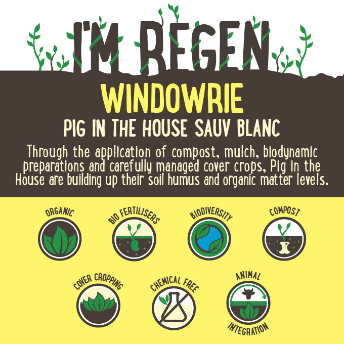 Pig in the House Sauvignon Blanc Central Ranges NSW 750mL | Harris Farm Markets Online