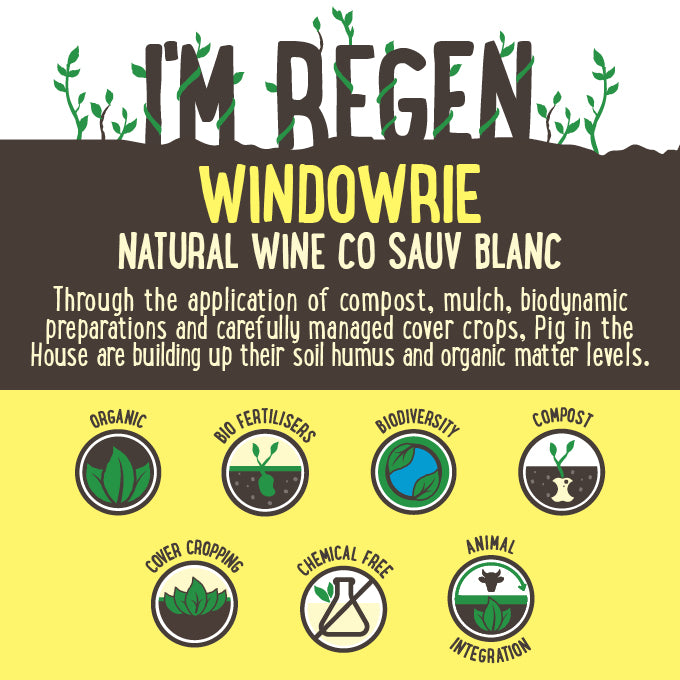 Natural Wine Co Sauvignon Blanc Central Ranges NSW Case 12x750mL