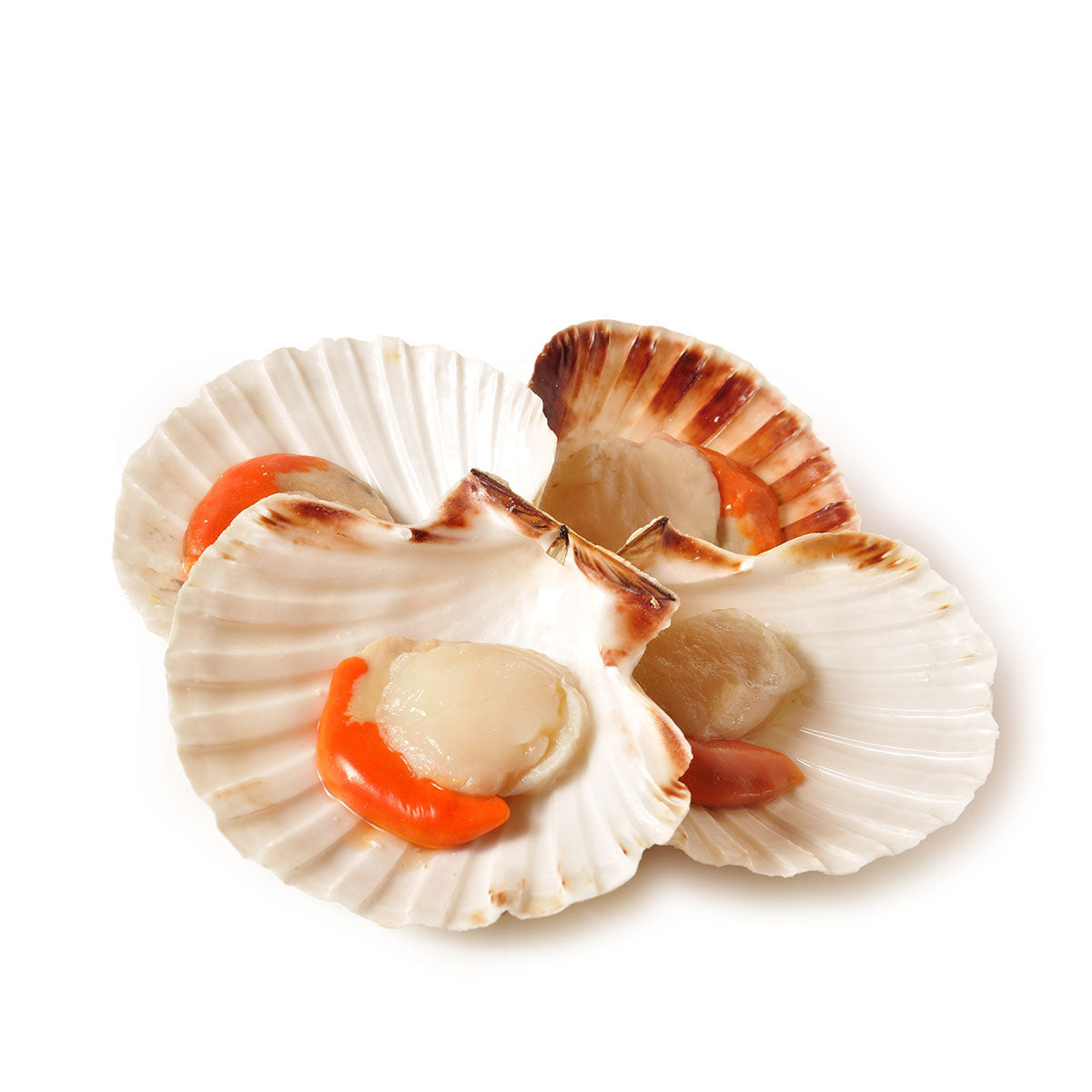 Fish in the Family Lake Entrance Half Sheel Scallops Roe On Per Dozen | Harris Farm Online