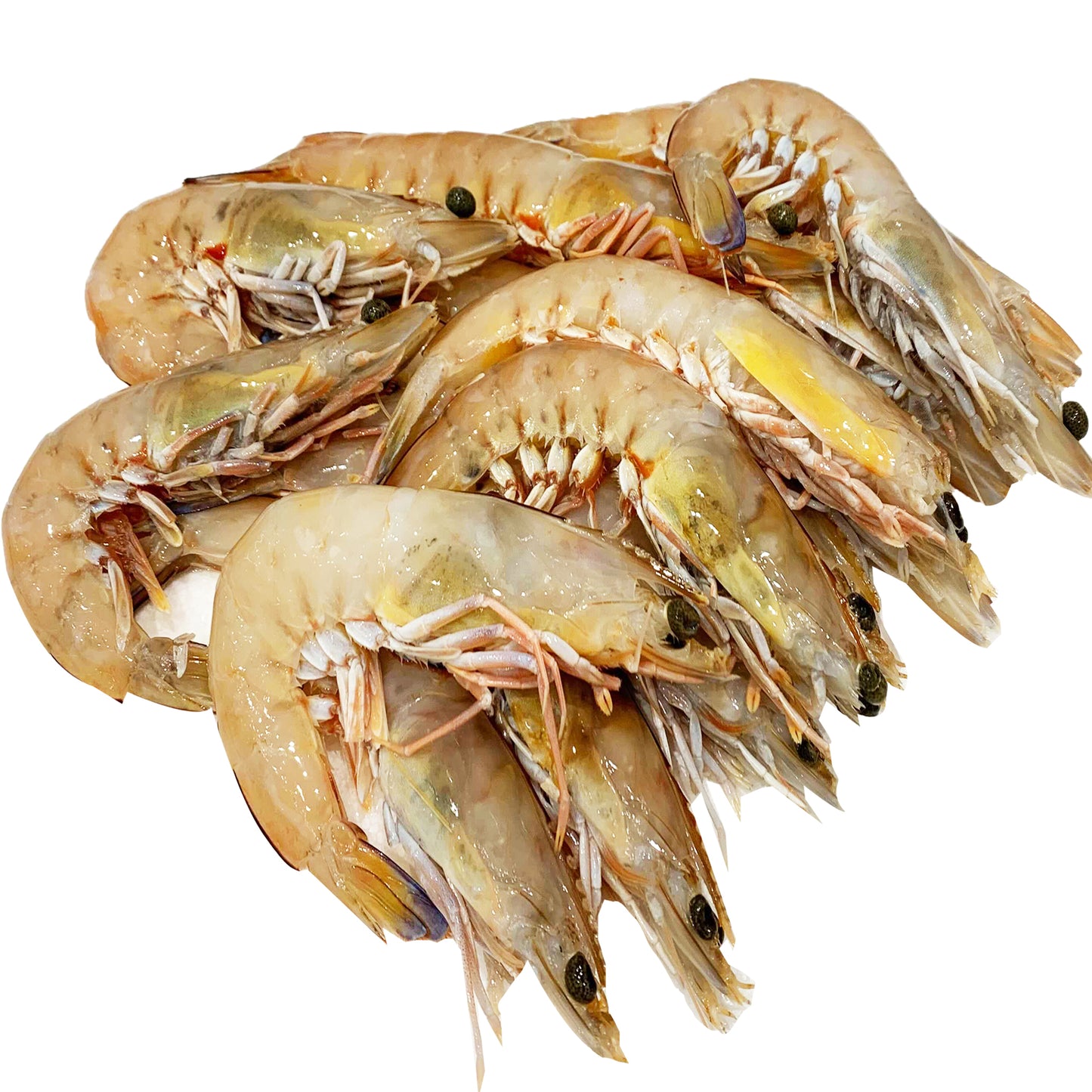 Raw King Prawns Extra Large | Harris Farm Online