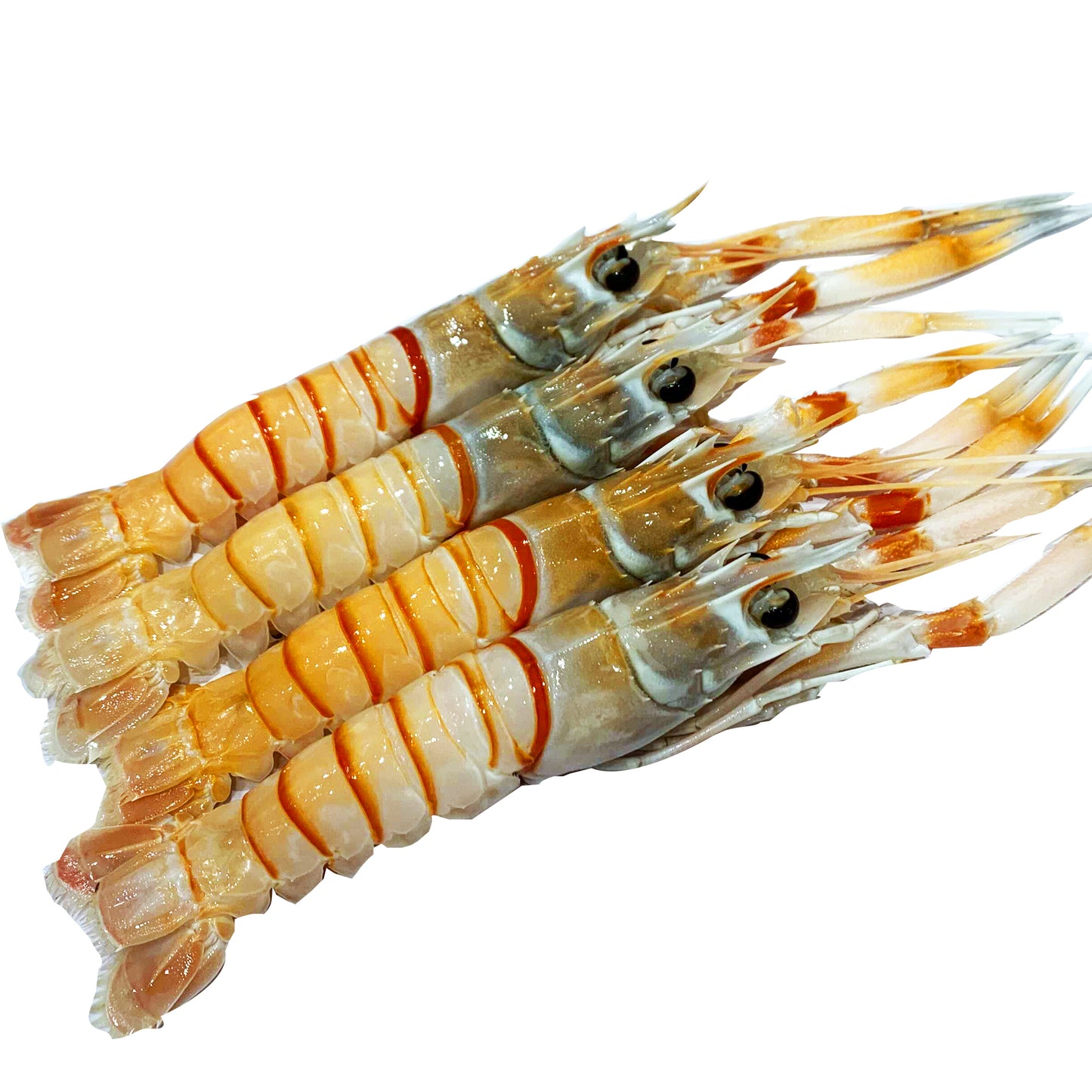 Sydney Fresh Seafood Scampi | Harris Farm Online