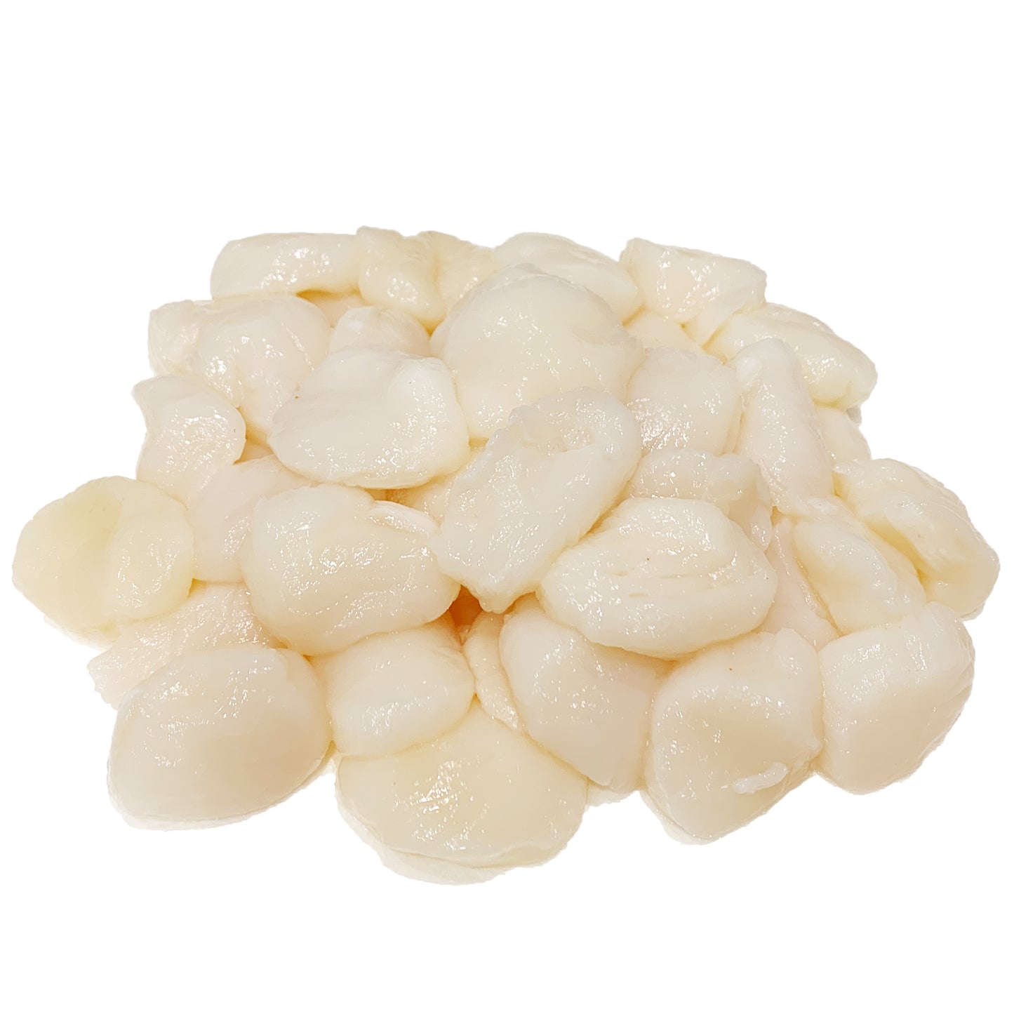 Fresh Scallops Roe Off | Harris Farm Online