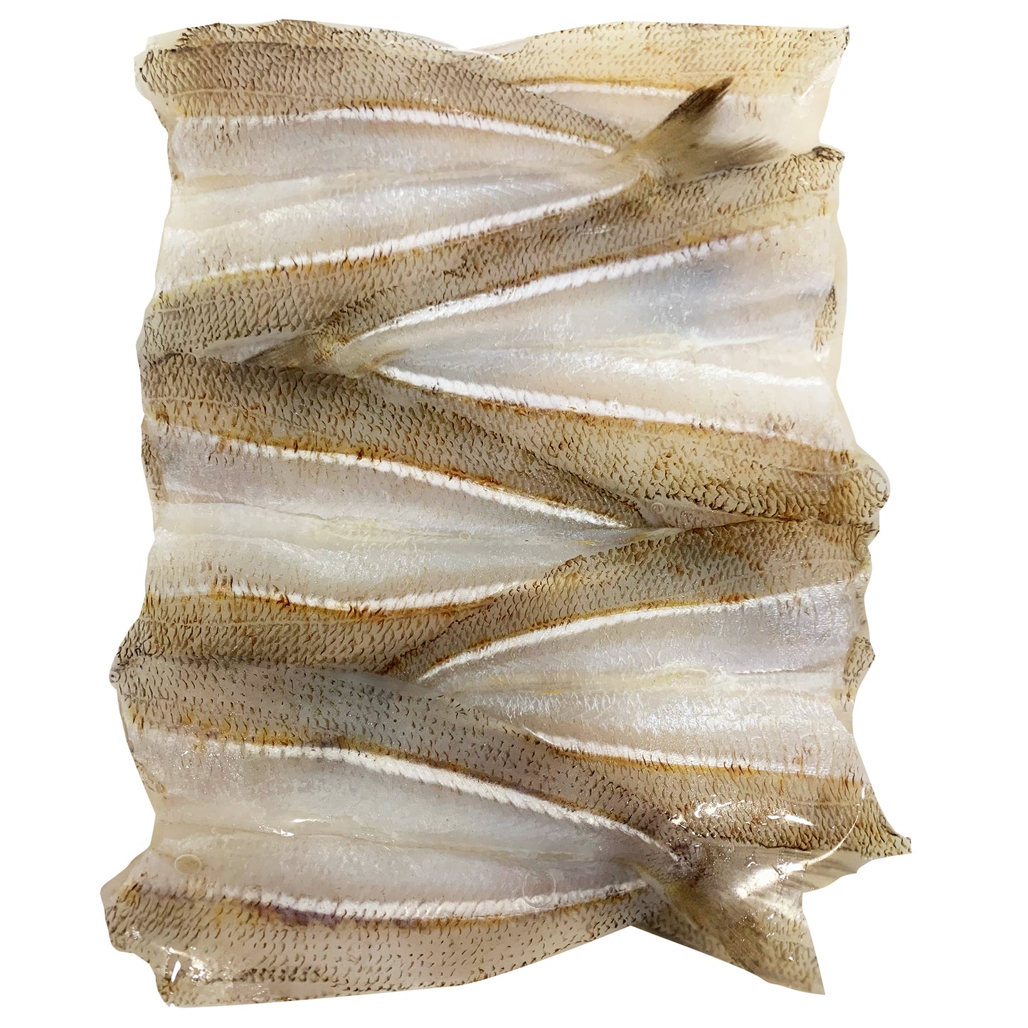 Butterflied Red Spot Whiting Fillets | Harris Farm Online