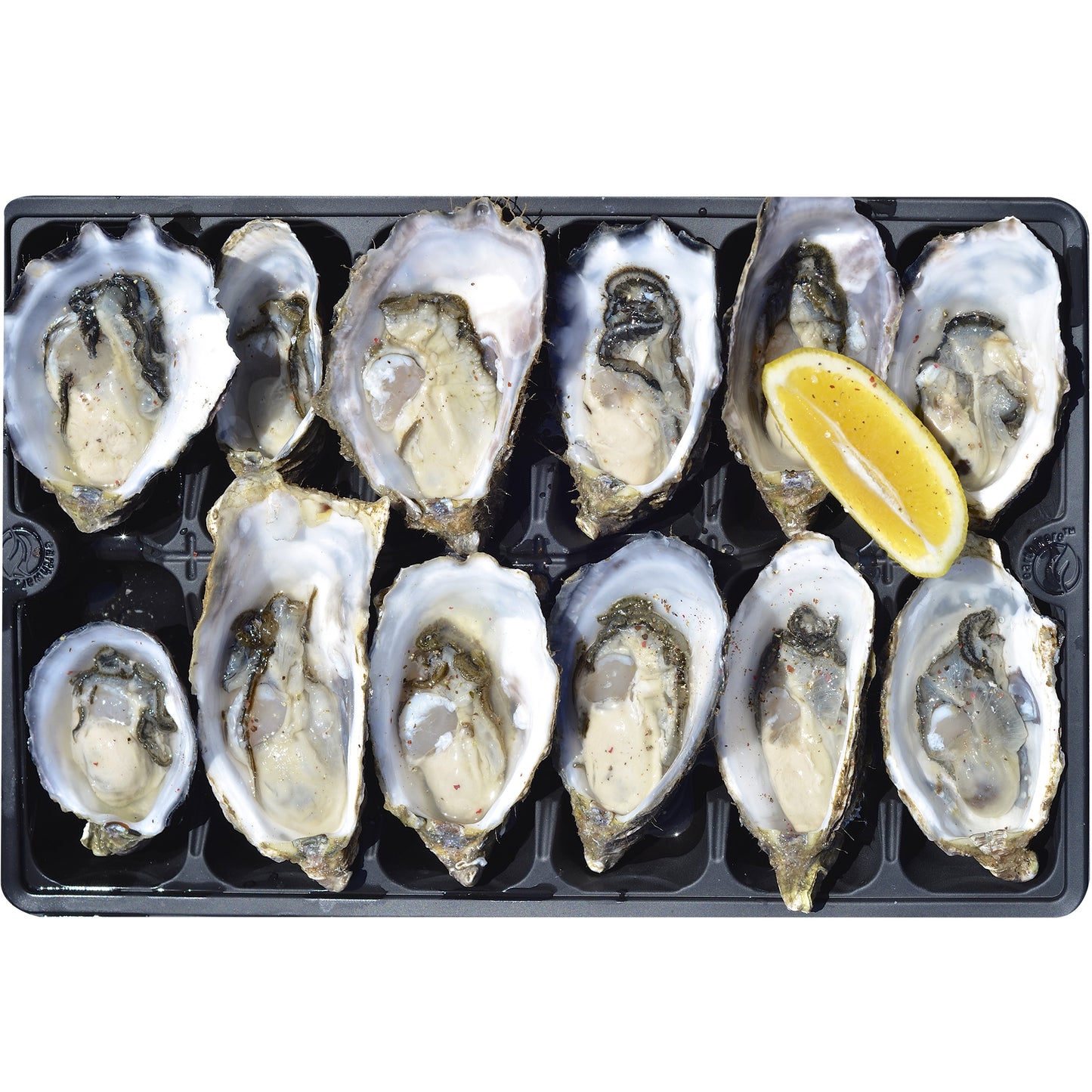 Harris Farm Fresh Australian Coast Oysters | Harris Farm Online