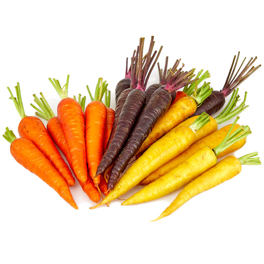 Carrot Rainbow Dutch | Harris Farm Online