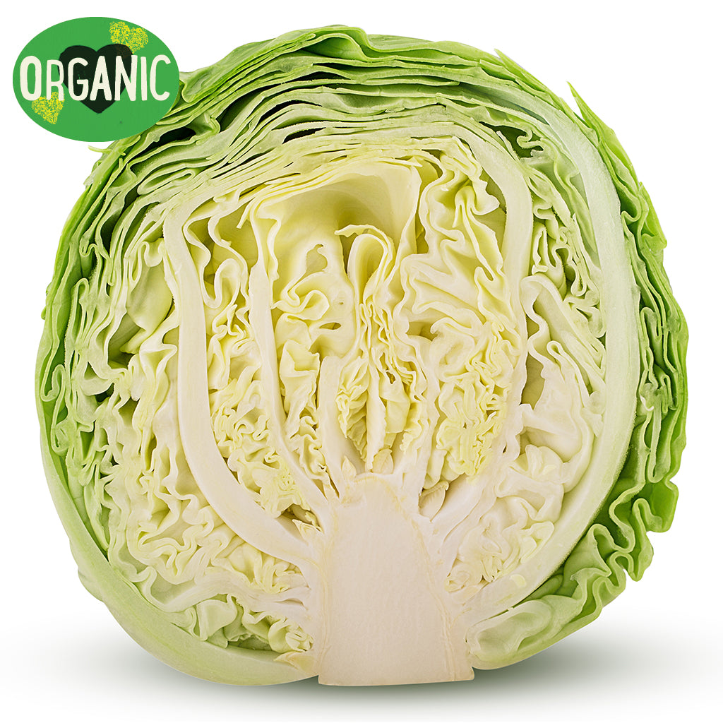 Cabbage Organic (Half) | Harris Farm Online