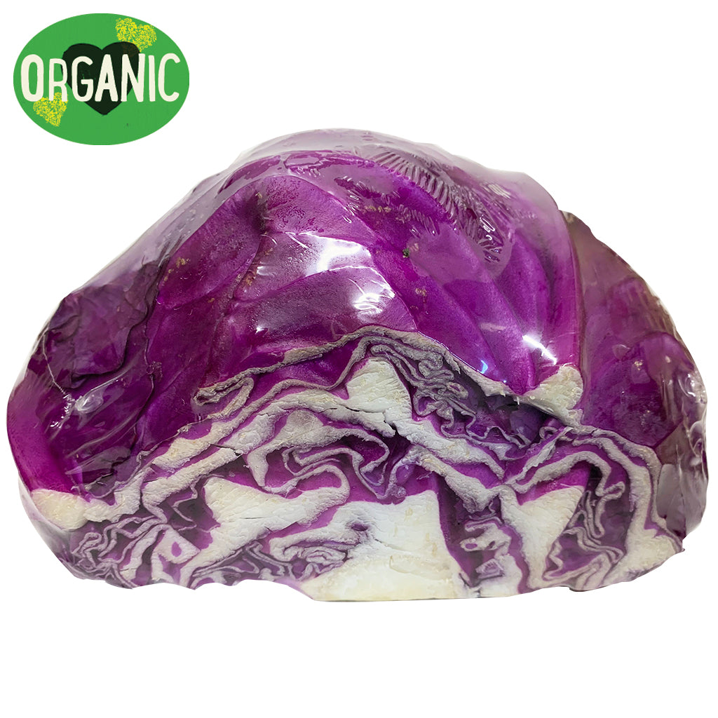 Fresh Cabbage Red Organic | Harris Farm Online