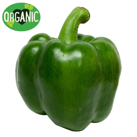 Organic Green Capsicum | Harris Farm Online