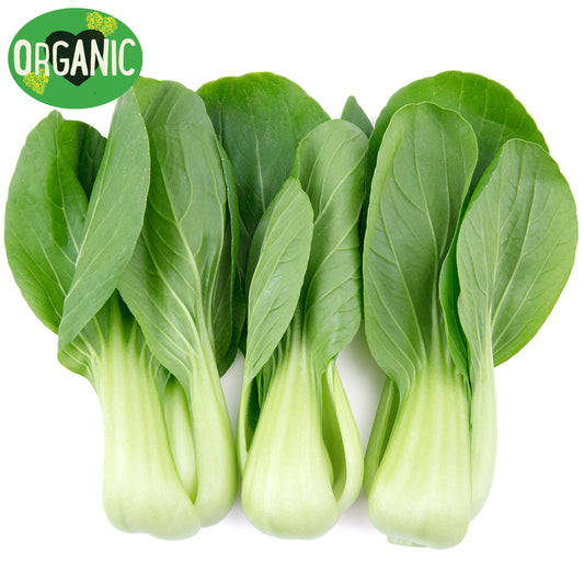 Buk Choy Organic bunch of 2-3 | Harris Farm Online