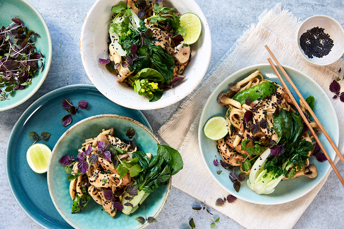 Buy Miso Poached Chicken with Udon Meal Kit from Harris Farm Online