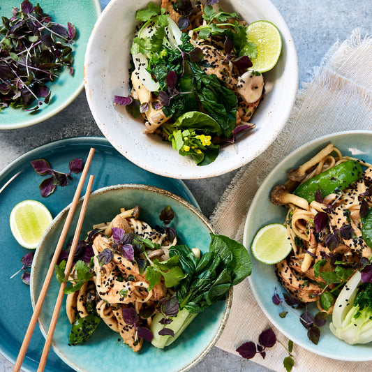 Buy Miso Poached Chicken with Udon Meal Kit from Harris Farm Online