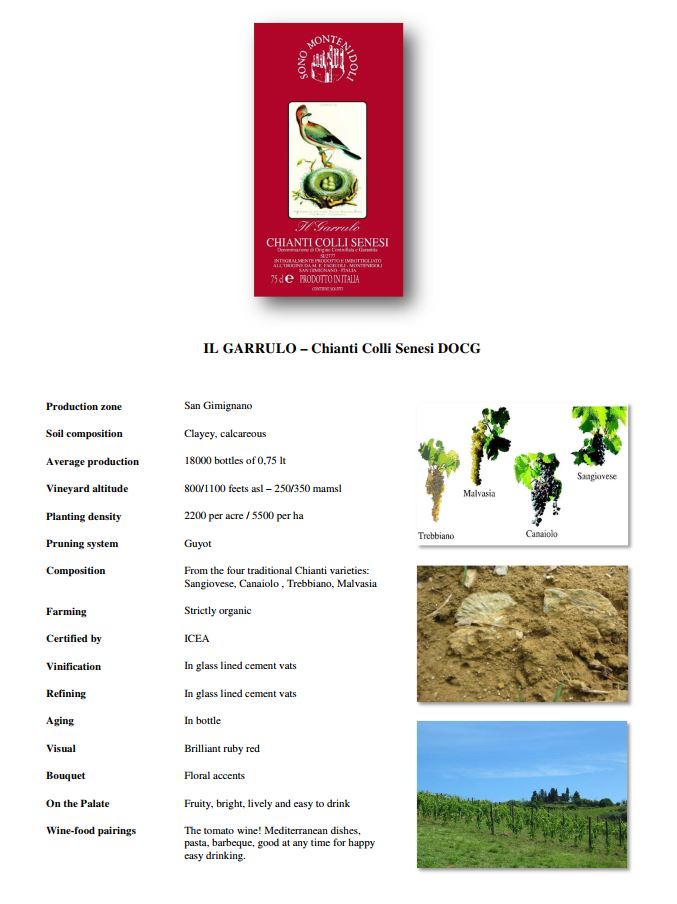Montenidoli - IL GARRULO - Chianti Colli Senesi DOCG - Dry Red Wine | Harris Farm Online