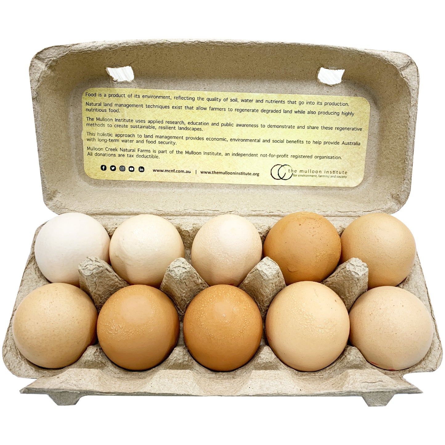 Mulloon Creek Biodynamic Pasture Raised Organic King Eggs | Harris Farm Online